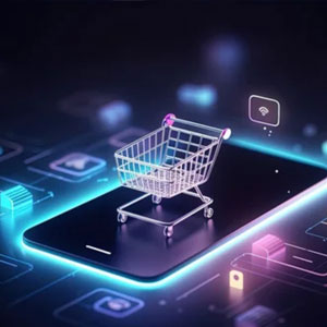 Diretor de E-commerce, B2B Online