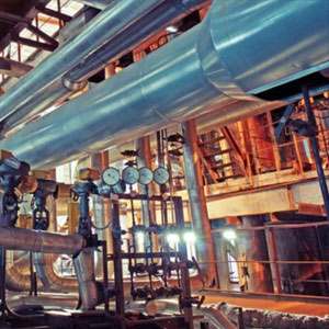 CEO, B2B Segmento Industrial